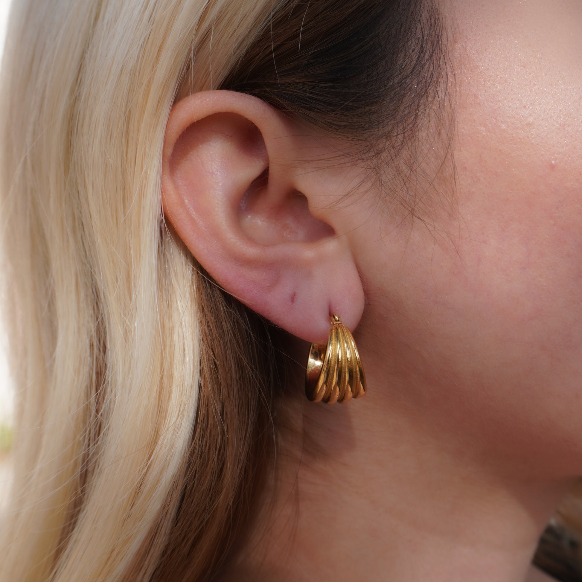 Fina Ribbed Earrings